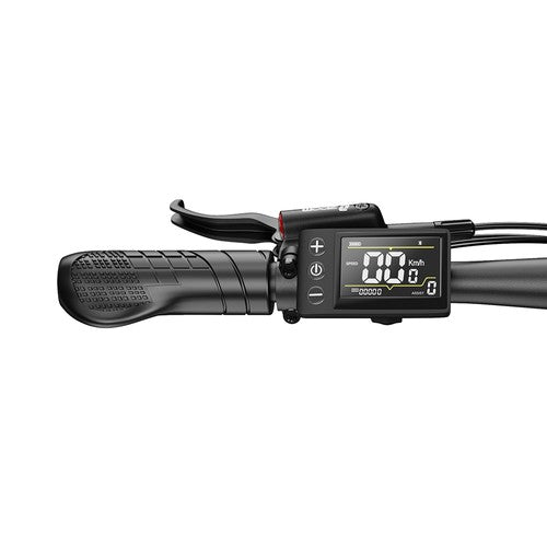 DUOTTS C29 Max Electric Bike, 250W Motor, 48V 18Ah