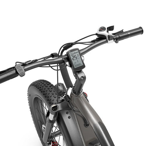 GOGOBEST GF600 Plus Electric Bike, 1000W Motor, 48V 20Ah