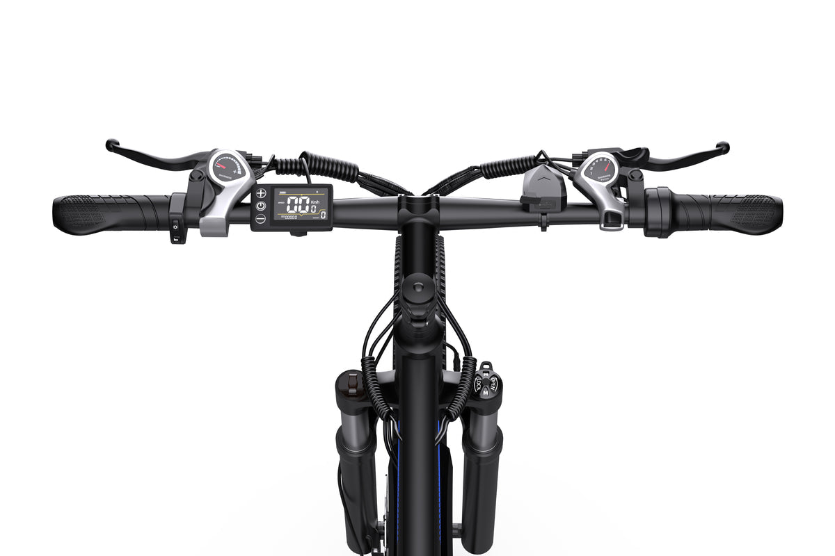DUOTTS C29 Pro Electric Bike 750W 15Ah