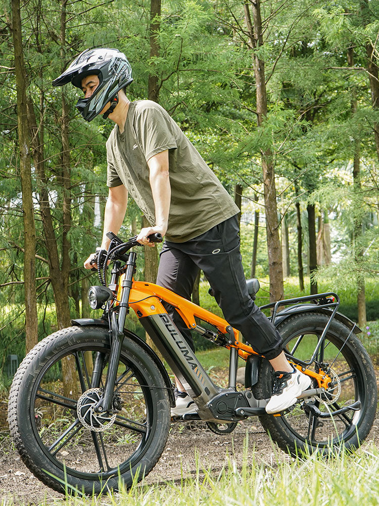 PULUMA PH003 MAX 2000W Fat Tire Dual Motor Electric bike