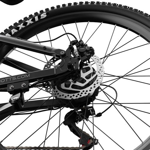 DUOTTS E29 Electric Bike, 250W Motor, 48V 13.5Ah Battery, 27.5 inch