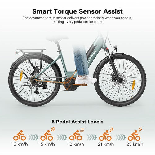 Foride Urbano 1 Electric Bike, 250W Mid-drive Motor, 36V 13Ah