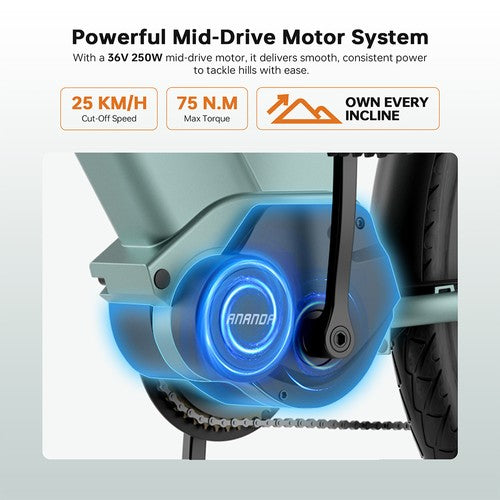 Foride Urbano 1 Electric Bike, 250W Mid-drive Motor, 36V 13Ah