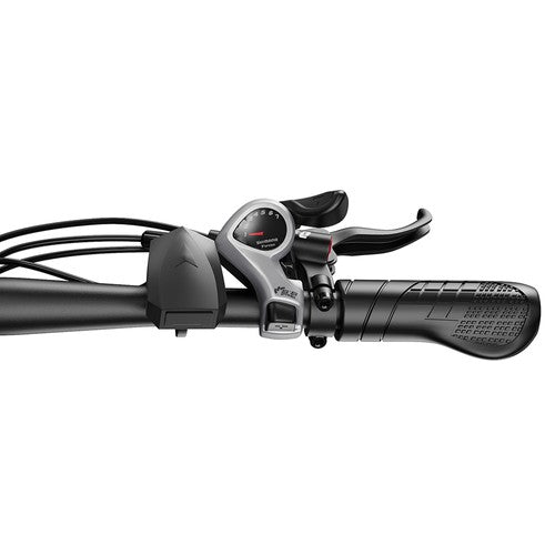 DUOTTS C29 Max Electric Bike, 250W Motor, 48V 18Ah