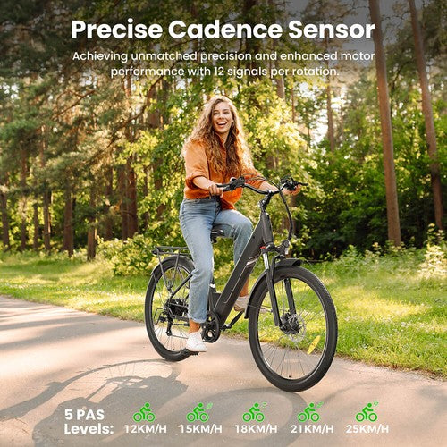 Touroll J1 Pro Electric Bike, 250W Motor, 36V 15.6Ah