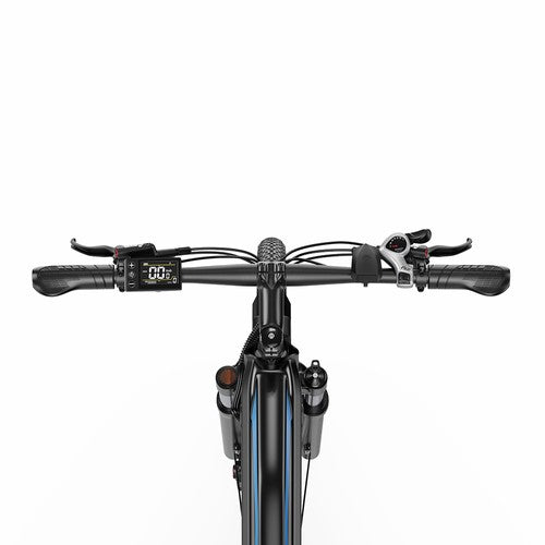 DUOTTS C29 Max Electric Bike, 250W Motor, 48V 18Ah