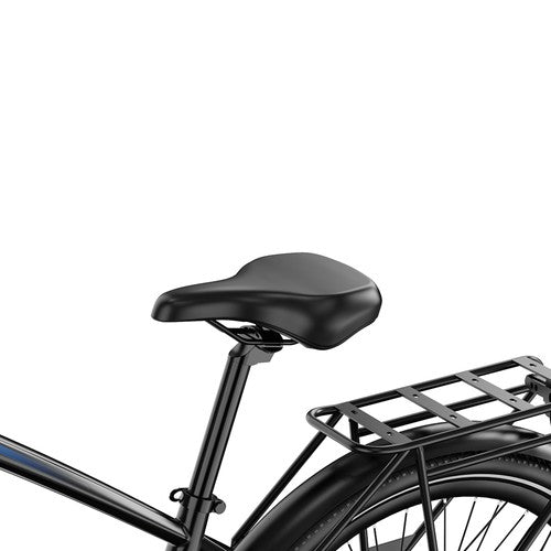 DUOTTS C29 Max Electric Bike, 250W Motor, 48V 18Ah