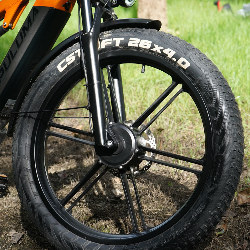 PULUMA PH003 MAX 2000W Fat Tire Dual Motor Electric bike