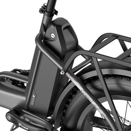 Fafrees FF20 Polar Electric Bike, 500W Motor, 48V 24Ah