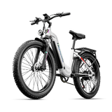 Shengmilo MX06 Electric Bike 1000W