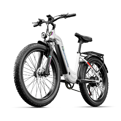 Shengmilo MX06 Electric Bike 1000W
