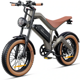 DYU M20 All-Terrain Long-Range Electric Bike
