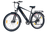 TTGO M300 Electric Bike 20Ah