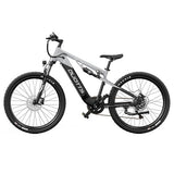 DUOTTS E29 Electric Bike, 250W Motor, 48V 13.5Ah Battery, 27.5 inch