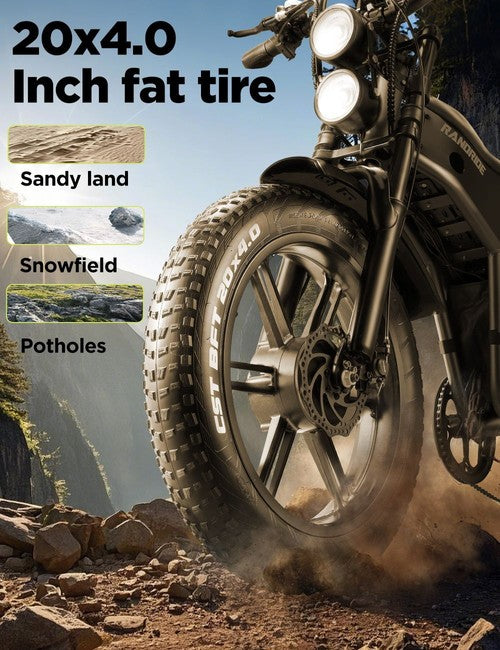 RANDRIDE DM711 Electric Bike 1000W*2 Motor, 48V 20Ah