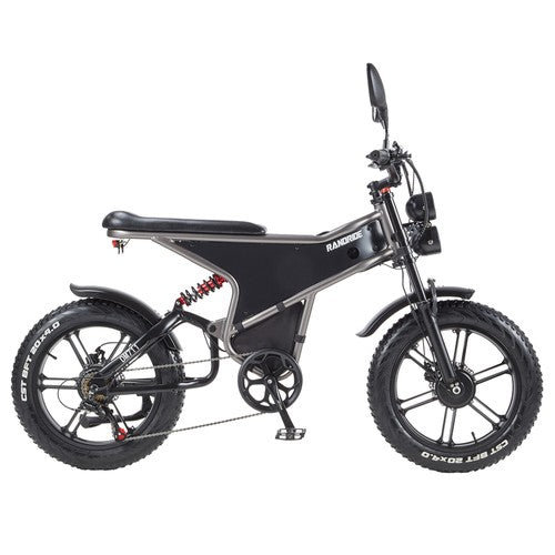 RANDRIDE DM711 Electric Bike 1000W*2 Motor, 48V 20Ah