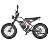 Fafrees F20 Ultra Electric Bike (Brake Upgraded Version), 750W Motor, 48V 25Ah
