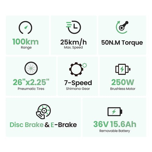 Touroll B2 Electric Bike 250W Motor 36V 15.6Ah
