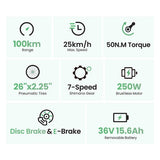 Touroll B2 Electric Bike 250W Motor 36V 15.6Ah