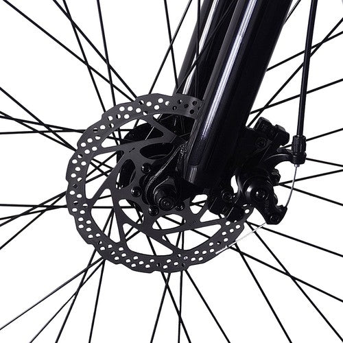 PVY M29 Electric Bike 250W Motor 48V 17.5Ah