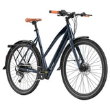 Fafrees F700W Electric Bike 100Km