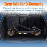 TWOFISH V1 MAX Electric Scooter, 400W Motor