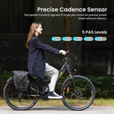 Eleglide T2 Electric Bike 250W Motor 36V 13Ah