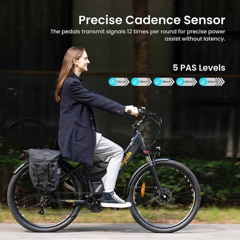 Eleglide T2 Electric Bike 250W Motor 36V 13Ah