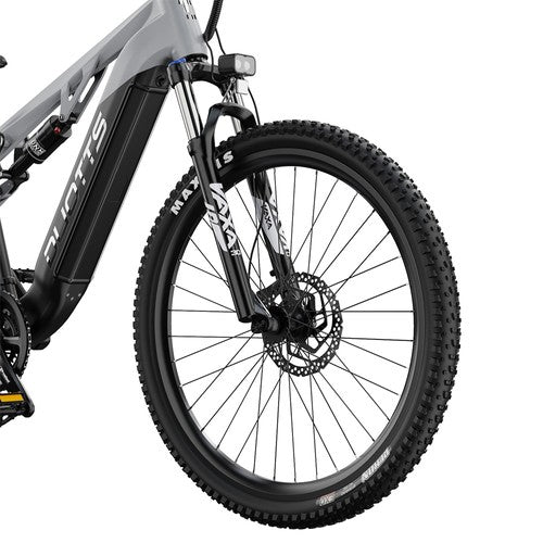 DUOTTS E29 Electric Bike, 250W Motor, 48V 13.5Ah Battery, 27.5 inch