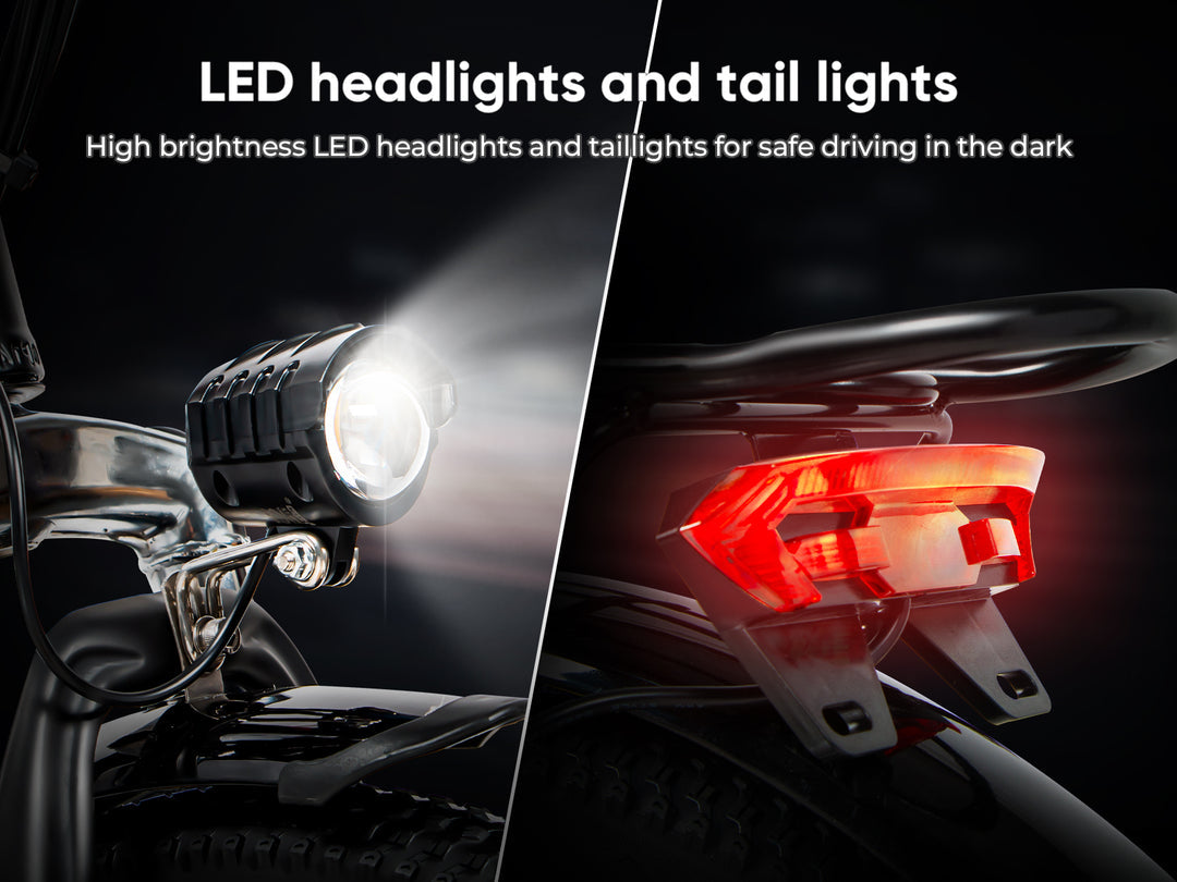 SAMEBIKE 20LVXD30-II Folding Electric Bike