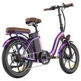 Fafrees F20+ Pro Folding Electric Bike 22.5Ah
