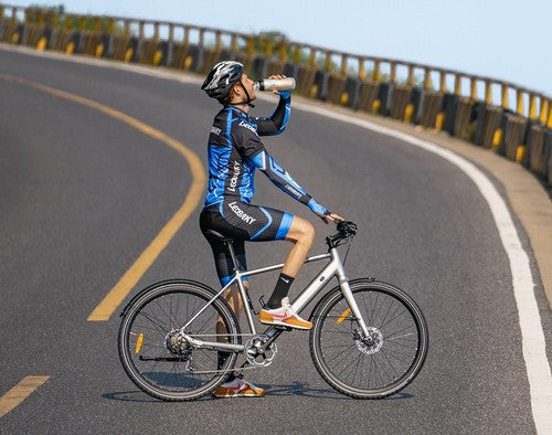 DYU Stroll 1 Electric Bike 250W