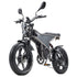 RANDRIDE DM711 Electric Bike 1000W*2 Motor, 48V 20Ah