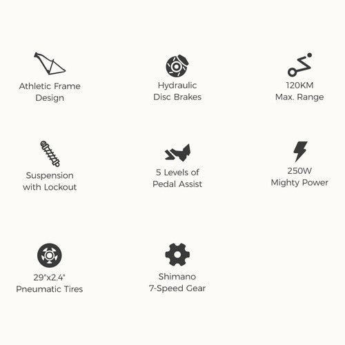 Foride Xtremer 3 Electric Bike 250W 48V 12Ah