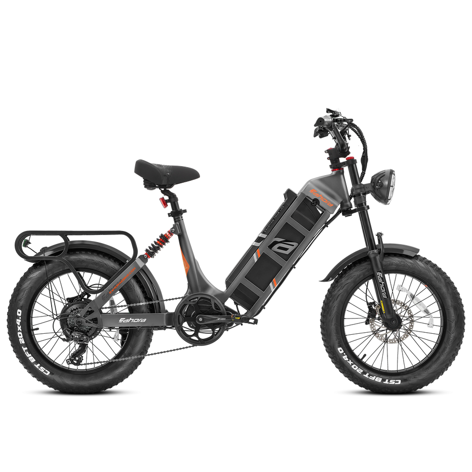 Eahora Juliet 1000W Electric Bike 48V 60Ah