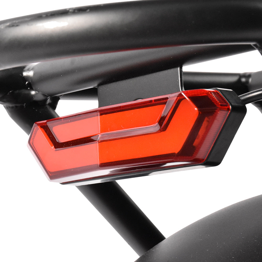 KAISDA K201 3.0 Electric Bike 36V/20.8Ah