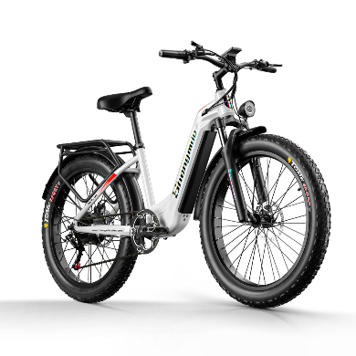 Shengmilo MX06 Electric Bike 1000W