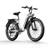 Shengmilo MX06 Electric Bike 1000W