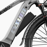 Cysum Speedy Electric Bike, 500W Motor, 48V 14AH