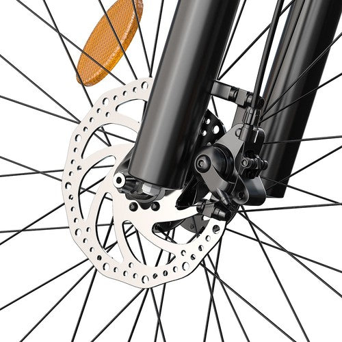 FENGQS Q8 Electric Bike, 750W Motor, 48V 17.5Ah 50km/h