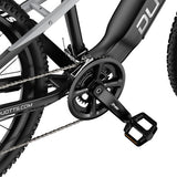DUOTTS E29 Electric Bike, 250W Motor, 48V 13.5Ah Battery, 27.5 inch