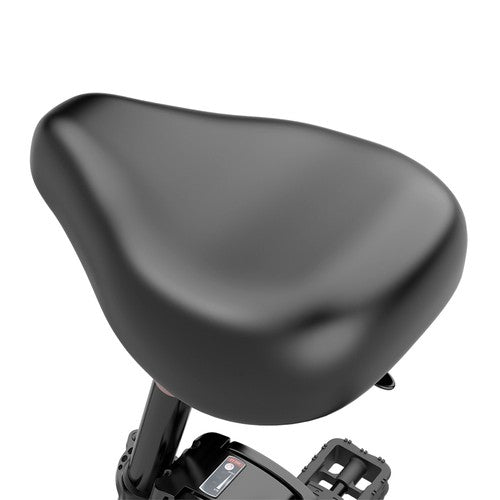 ESKUTE D100 Electric Bike 36V13Ah