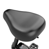 ESKUTE D100 Electric Bike 36V13Ah