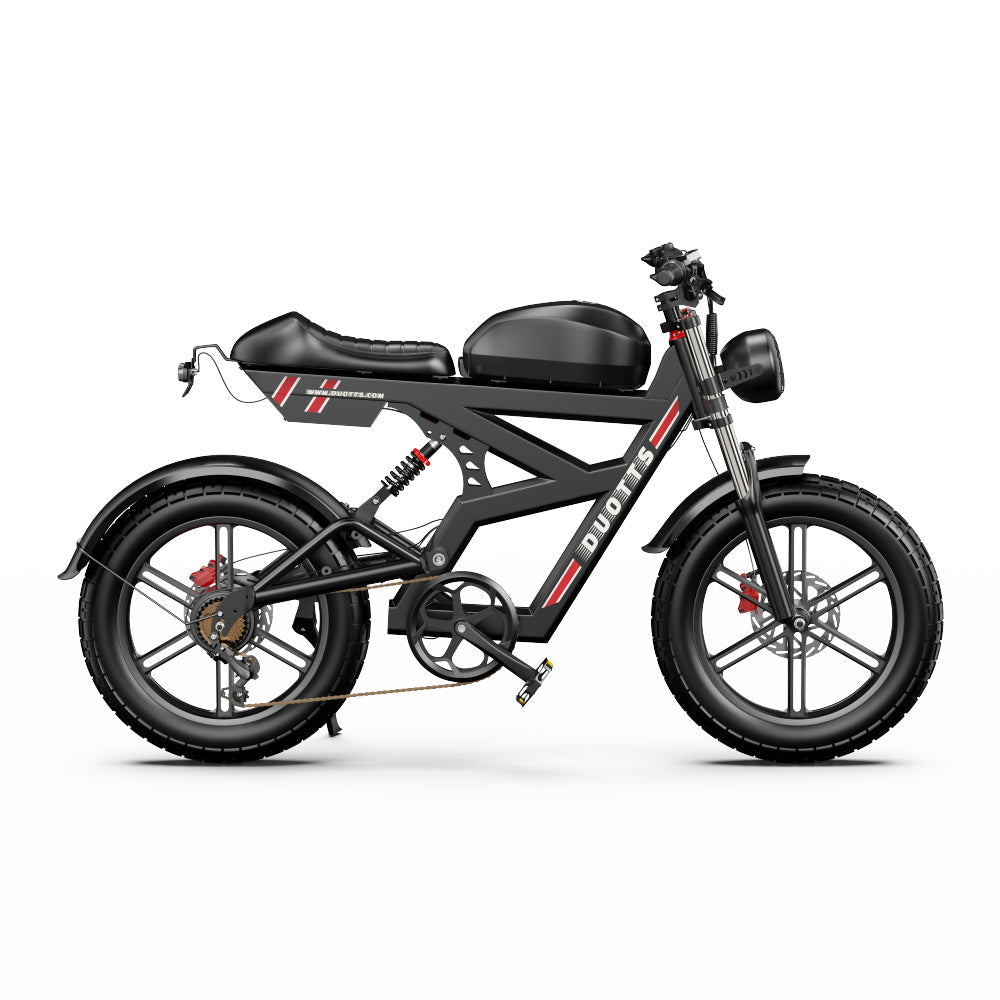 DUOTTS F20 Electric Bike 27Ah 750W