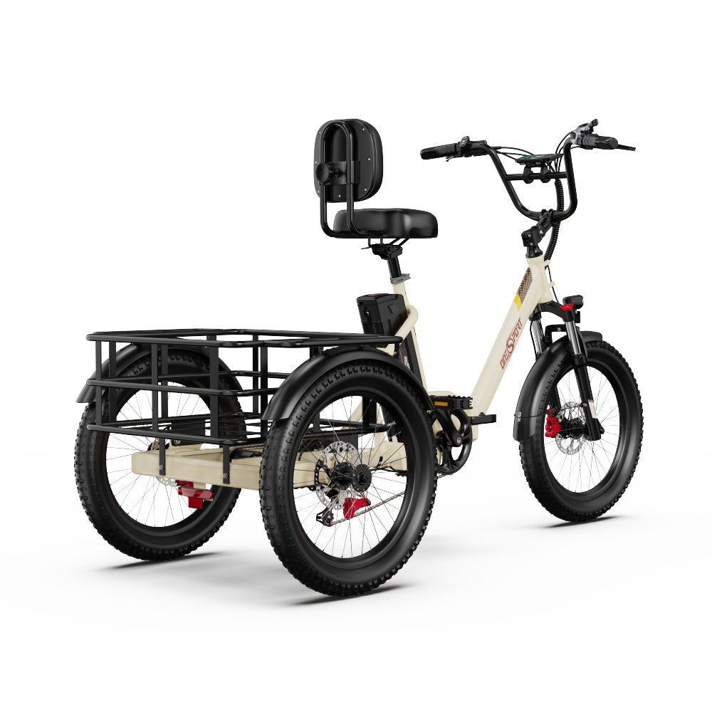 Onesport OT30 Pro Electric Bike
