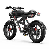 DUOTTS F20 Electric Bike 27Ah 750W