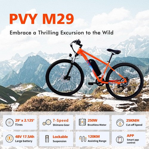 PVY M29 Electric Bike 250W Motor 48V 17.5Ah