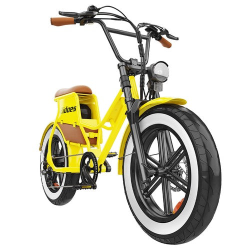 Hidoes C8 Electric Bike, 700W, 48V 17Ah