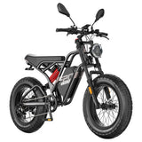 Fafrees F20 Ultra Electric Bike (Brake Upgraded Version), 750W Motor, 48V 25Ah