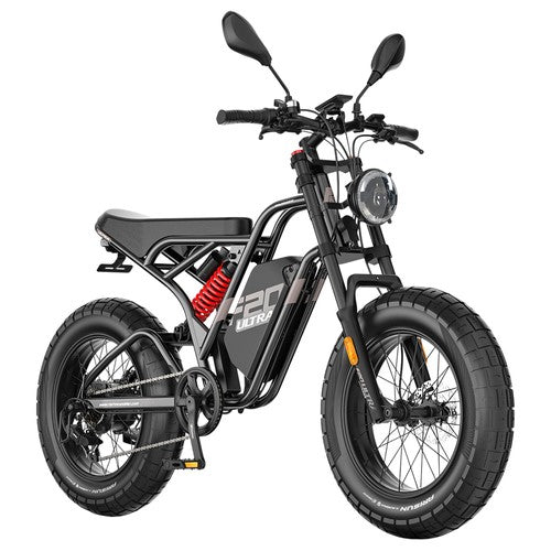 Fafrees F20 Ultra Electric Bike (Brake Upgraded Version), 750W Motor, 48V 25Ah